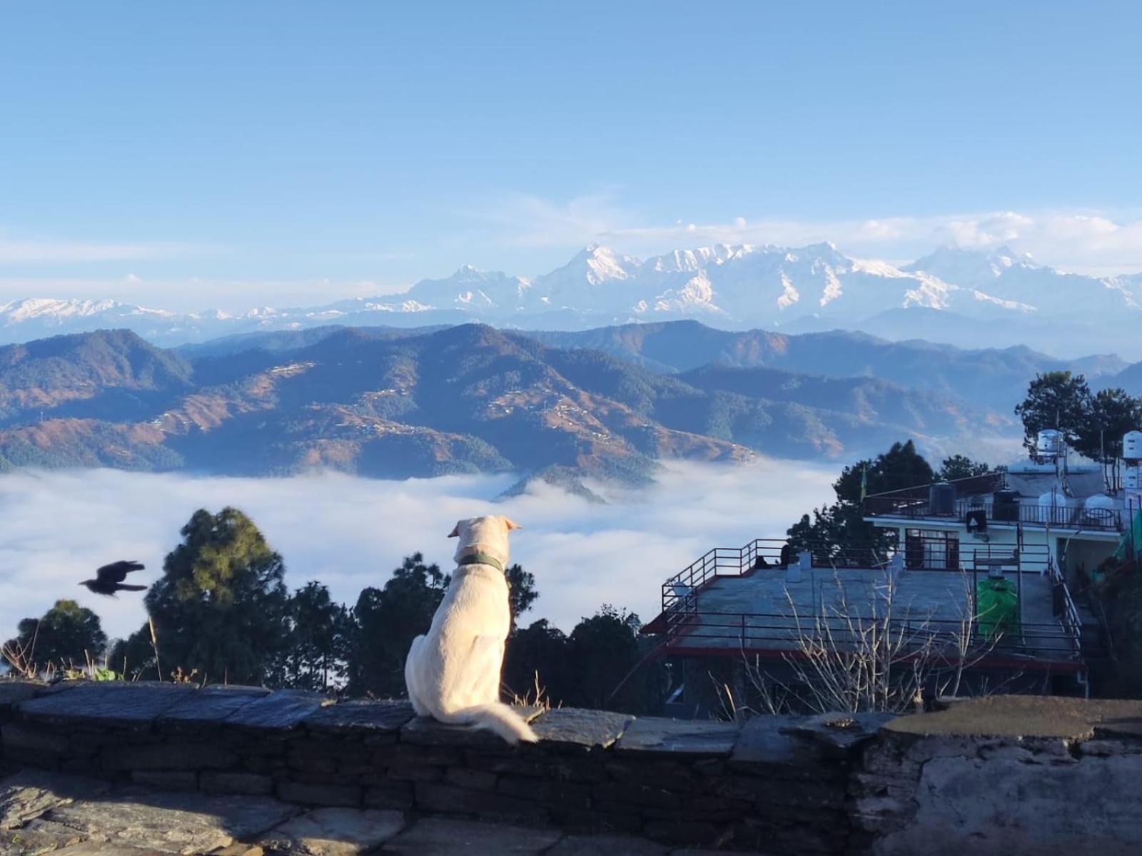 The Heavens Apartment Almora Exterior photo